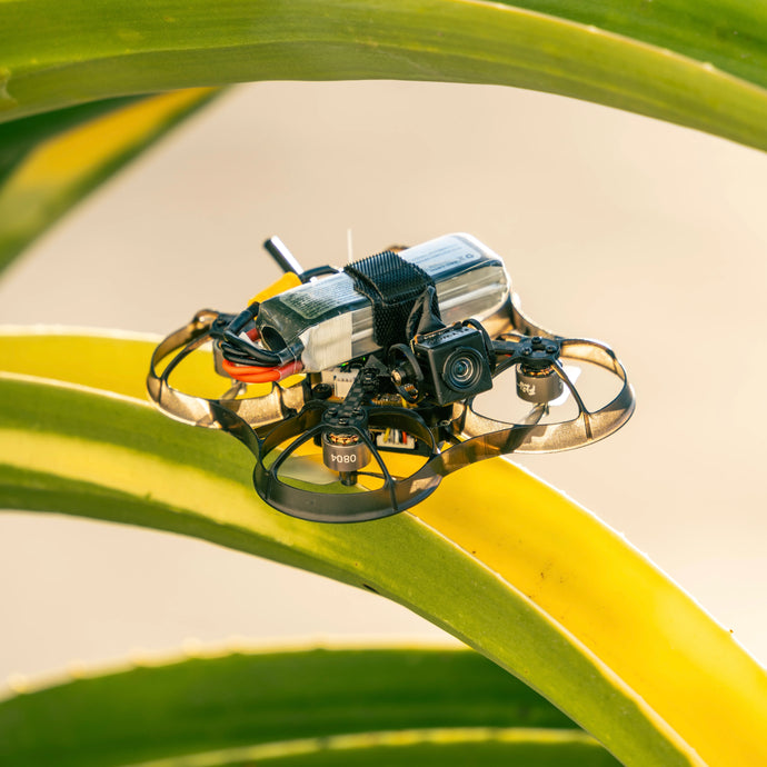 NewBeeDrone AcroBee75 HD O4 Pusher BNF with DJI O4