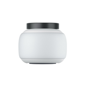 Insta360 GO 2 (ประกันศูนย์ไทย)