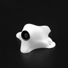 Load image into Gallery viewer, C01 Pro FPV Micro Camera
