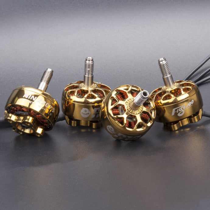 FLYWOO NIN PLUS N2207.5 2207.5 2-6S FPV MOTOR Brushless for RC(GOLD)